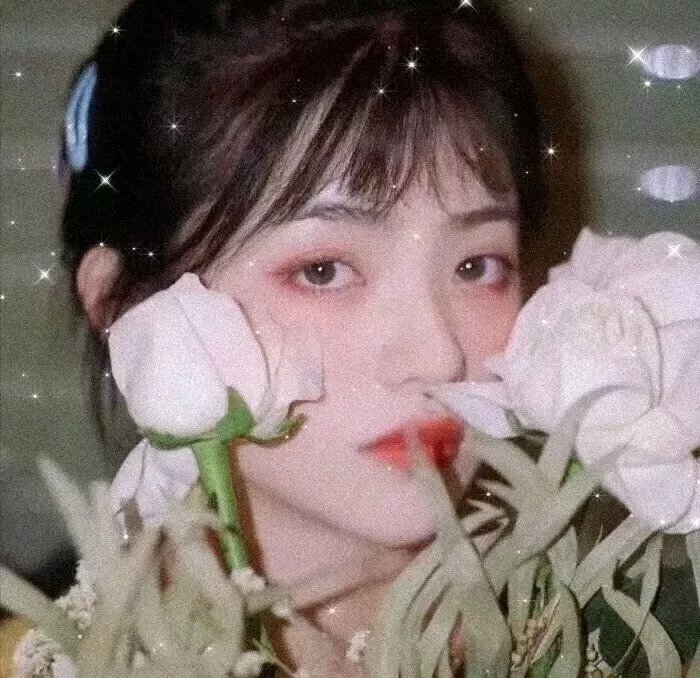 沉睡的森林